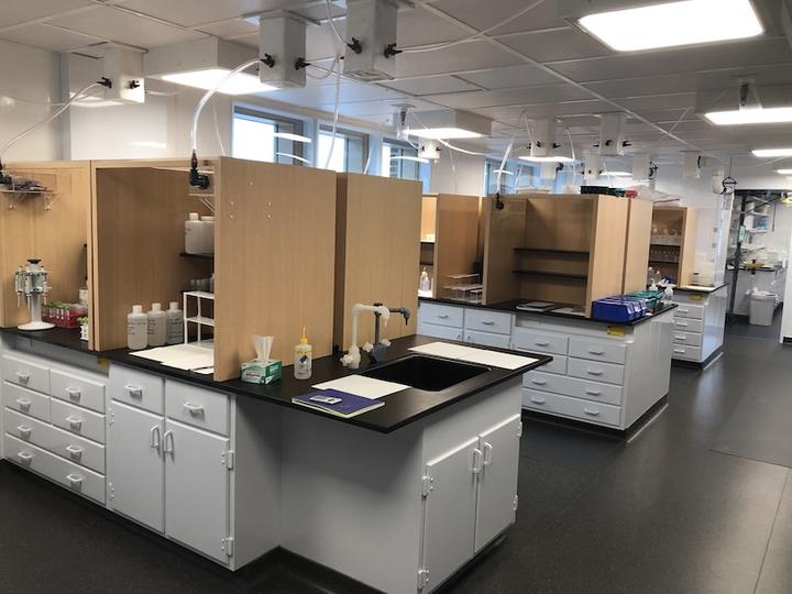 Clean Lab Workbenches